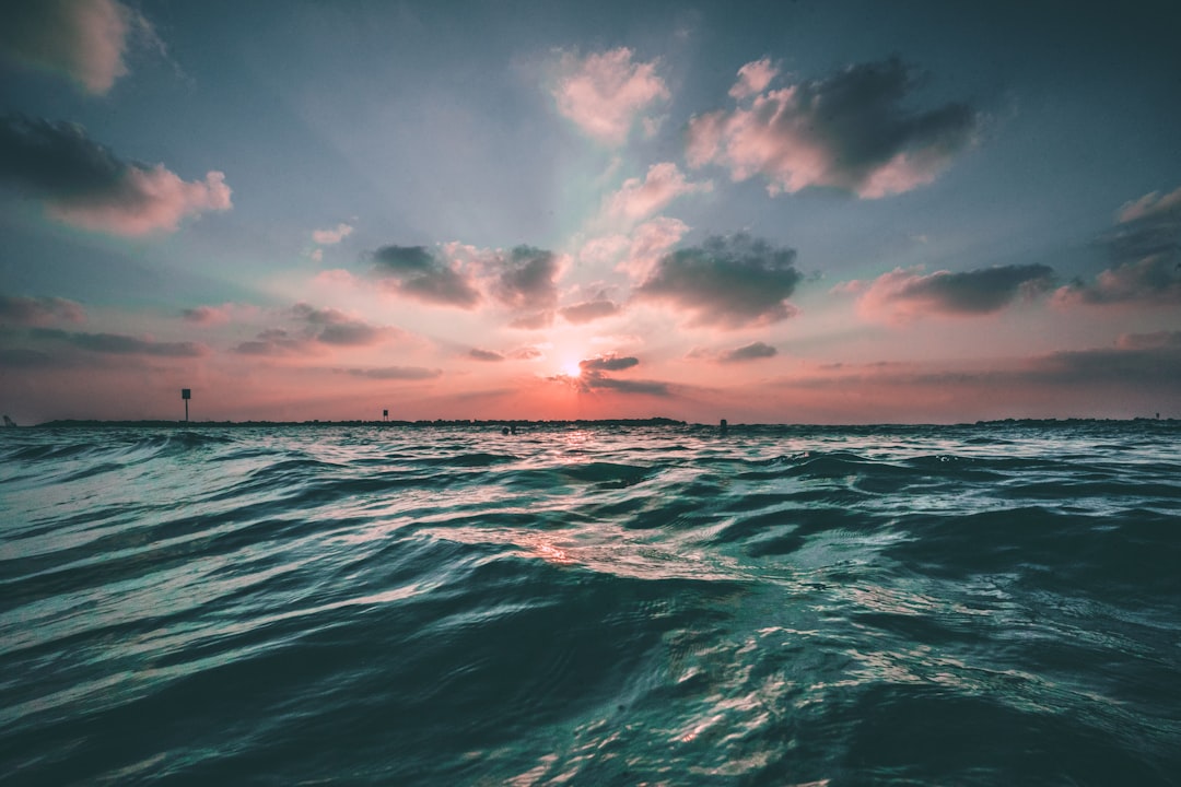 FAQ by Water Brands body of water during golden hour