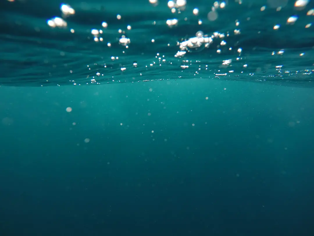 FAQ: Your Burning Questions About Brita, PUR, and Aquasana Answered ❓ by Water Brands photo of underwater