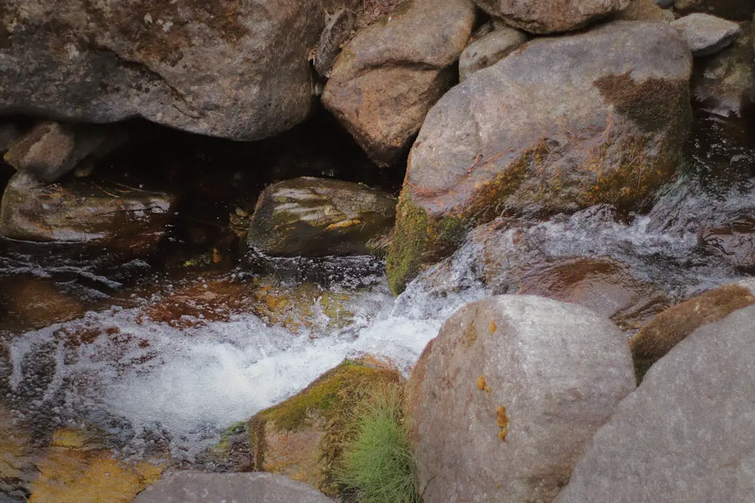 Water flows over rocks in a stream.