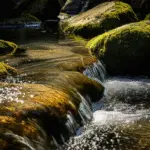 Featured image for How Do Different Water Brands Source Their Water 2025