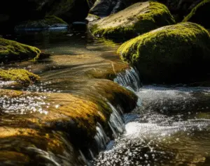 Featured image for How Do Different Water Brands Source Their Water 2025
