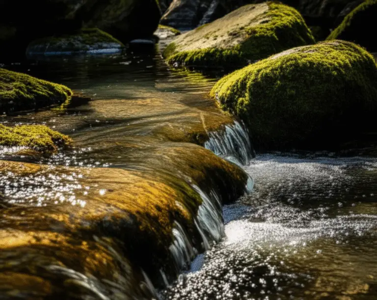 Featured image for How Do Different Water Brands Source Their Water 2025